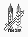Emblema-del-Palmaj.jpg